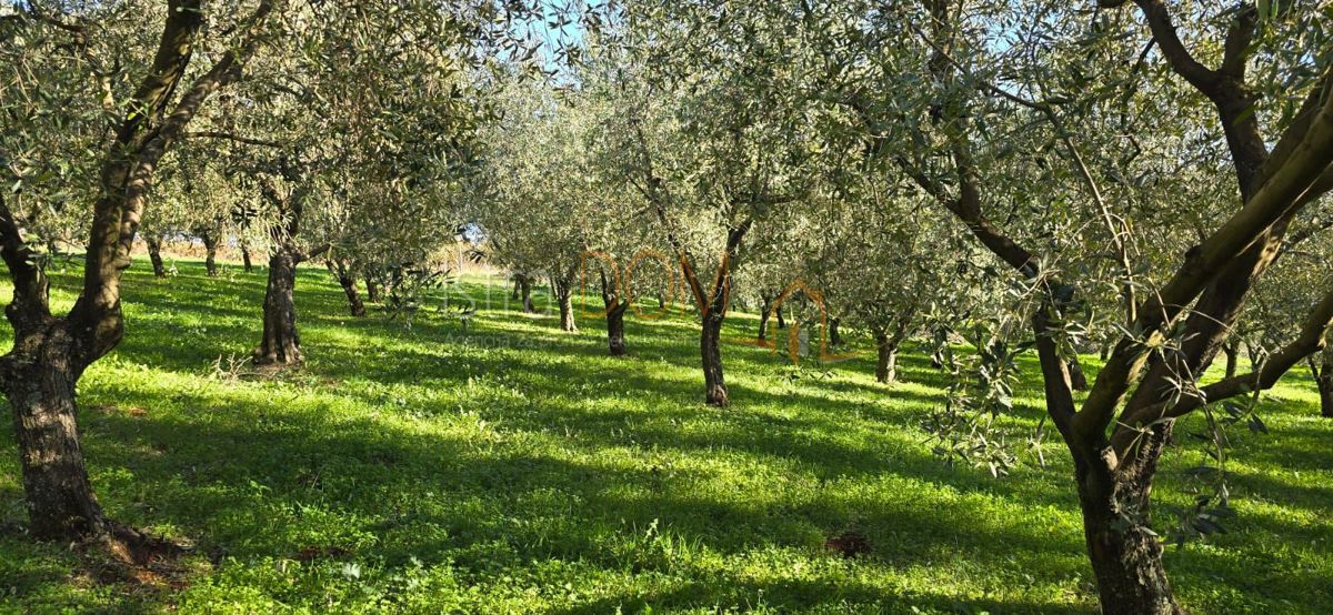 Terreno In vendita - ISTARSKA PIĆAN