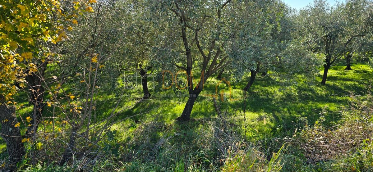 Terreno In vendita - ISTARSKA PIĆAN