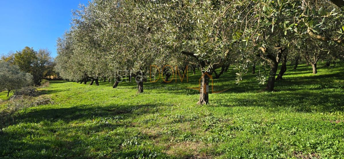 Terreno In vendita - ISTARSKA PIĆAN
