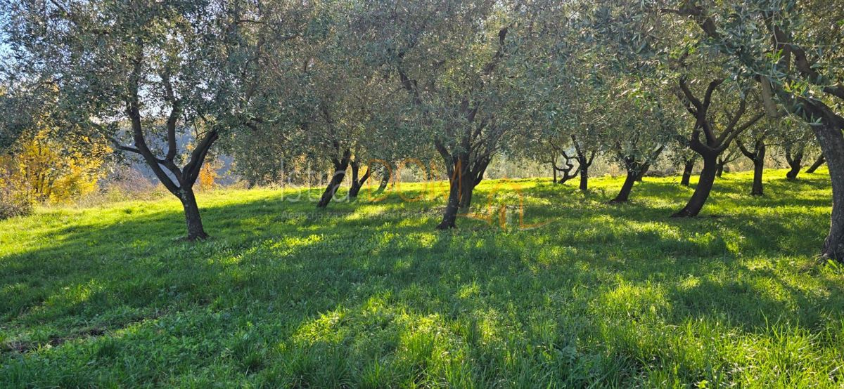 Terreno In vendita - ISTARSKA PIĆAN