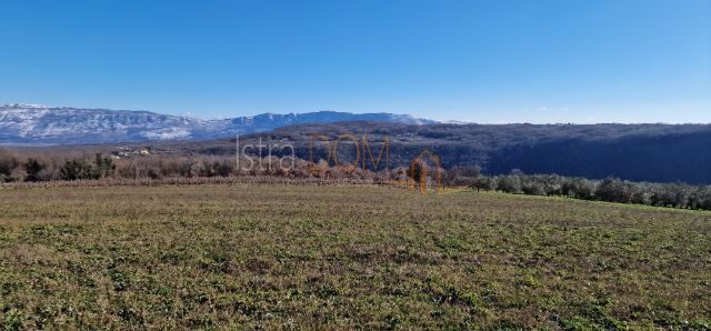 Terrain À vendre - Istarska Pićan - foto 2/5