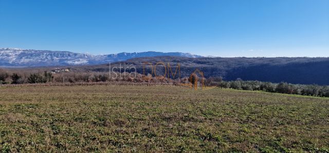 Terreno In vendita - Istarska Pićan - foto 2/5