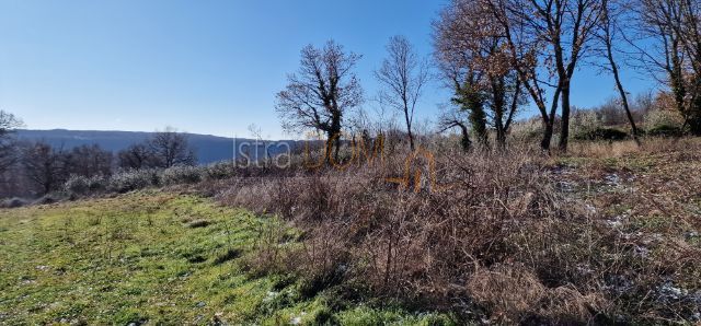 Terreno In vendita - Istarska Pićan - foto 4/5