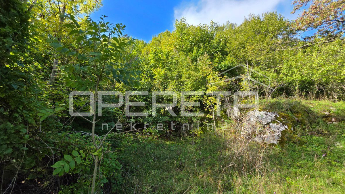 Land For sale - LIČKO-SENJSKA SENJ