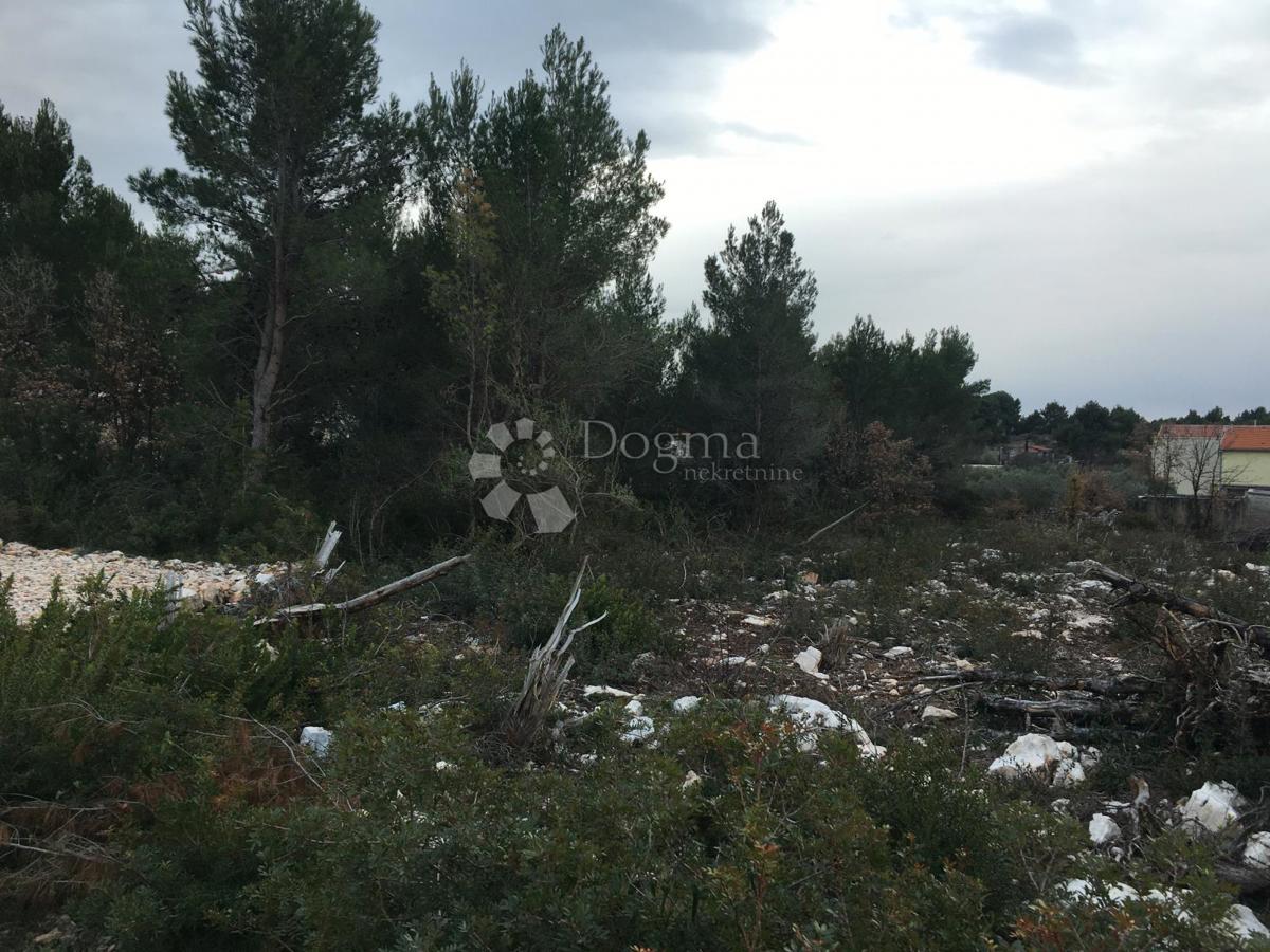 Land For sale TRIBUNJ