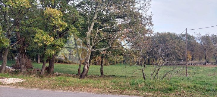 Pozemek na prodej 2930 m² – Kršan
