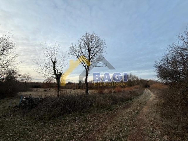 Land For sale - Istarska Marčana - foto 4/7