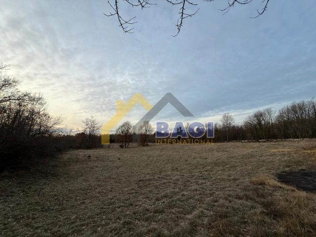 Land For sale - Istarska Marčana - foto 5/7