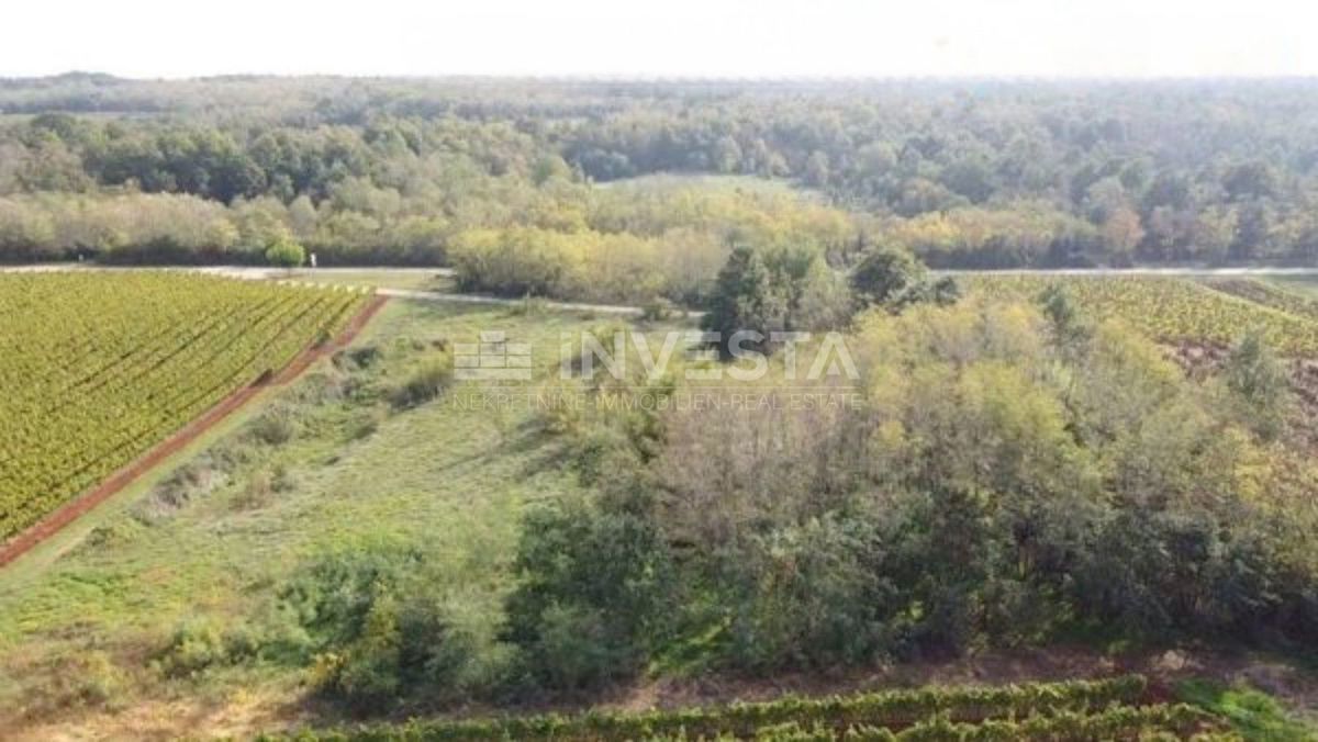 Land For sale - Istarska Kaštelir - foto 1/3