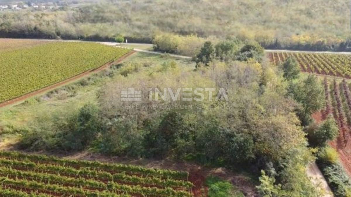 Land For sale - Istarska Kaštelir - foto 2/3