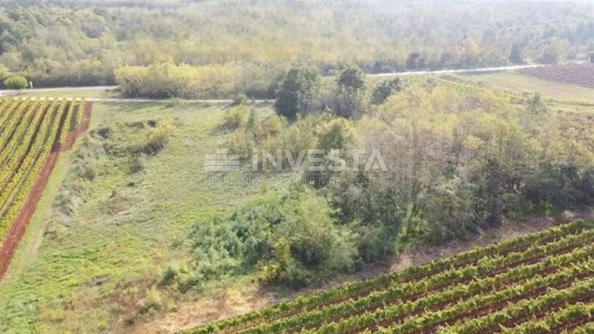 Land For sale - Istarska Kaštelir - foto 3/3