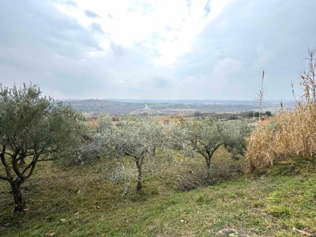 Terreno in vendita 2199 m² – Buje