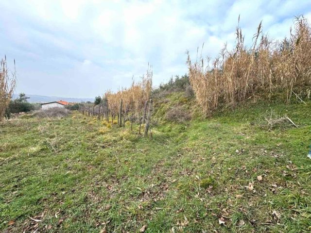 Terreno In vendita - Istarska Buje - foto 2/2