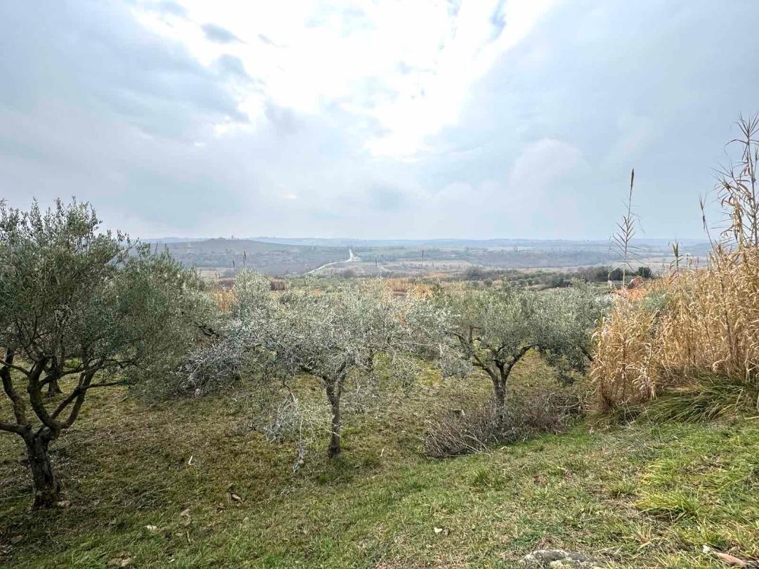 Land For sale BUJE