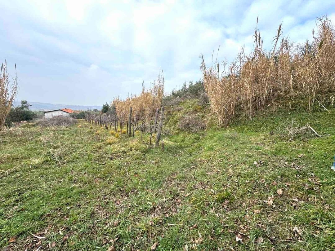 Land For sale - ISTARSKA BUJE