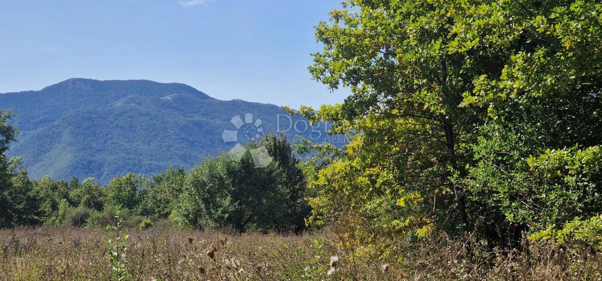 Pozemek Na prodej - Ličko-senjska Gospić - foto 4/19