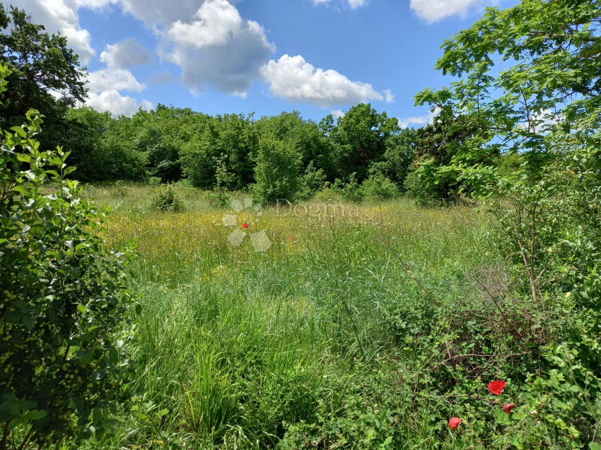 Terreno In vendita - Istarska Marčana - foto 3/5