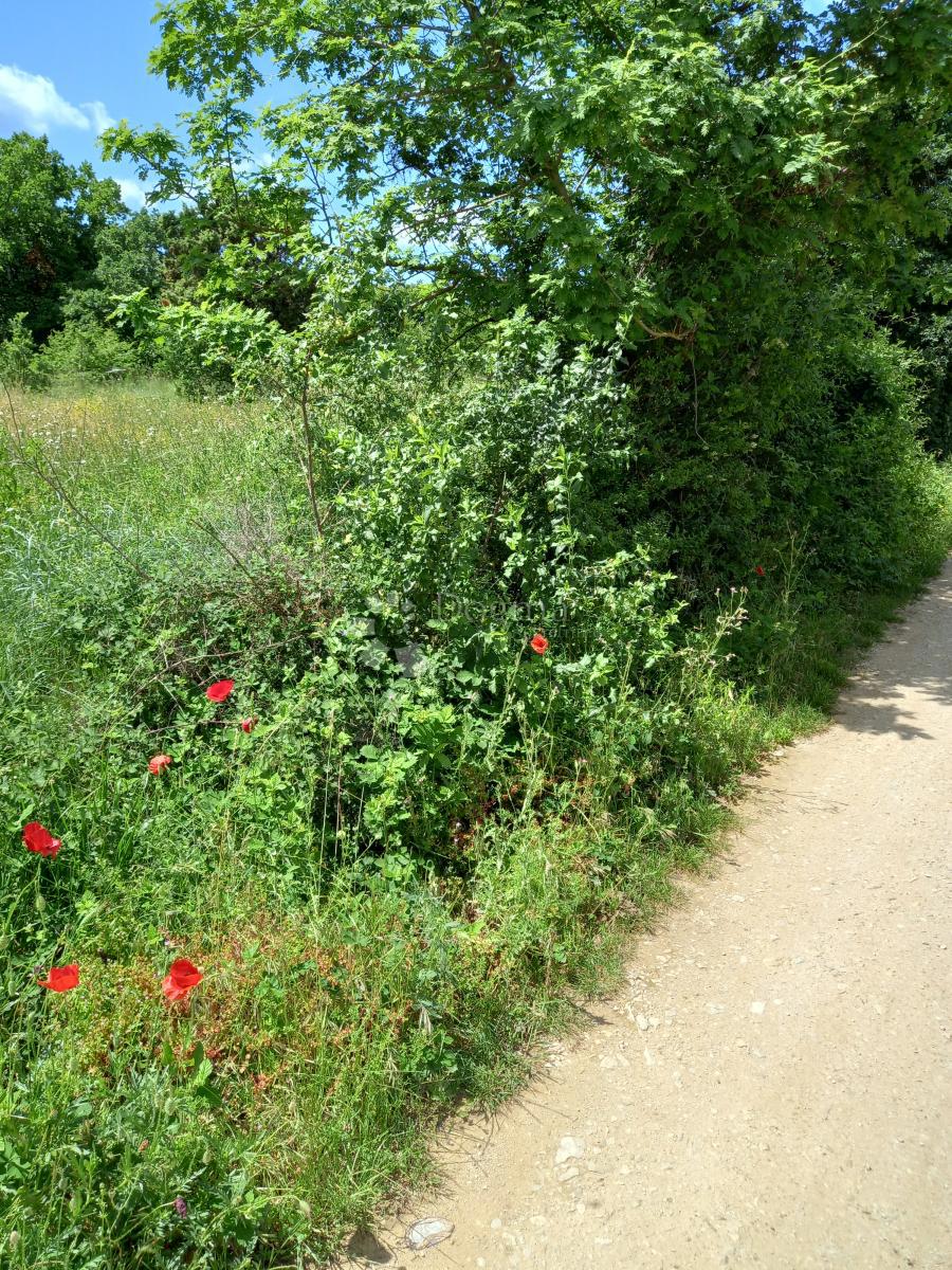 Terreno In vendita - Istarska Marčana - foto 4/5