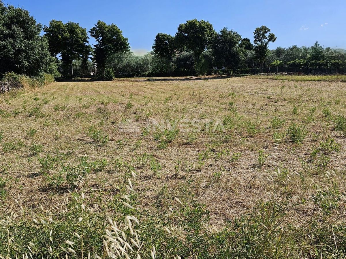 Land For sale - Istarska Vodnjan - foto 1/3