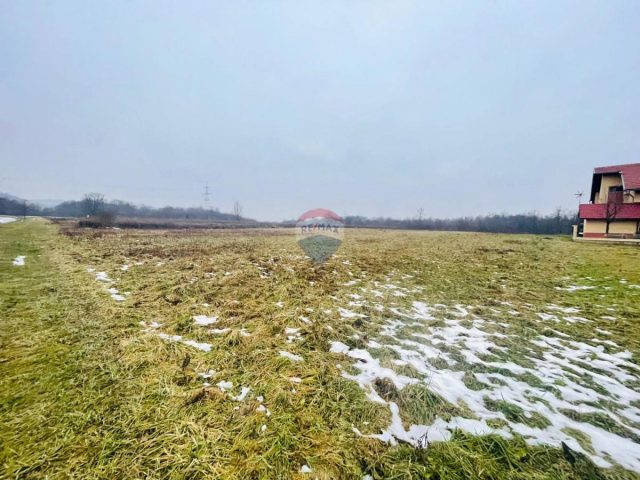 Land for sale 3384 m² – Sveta Nedelja