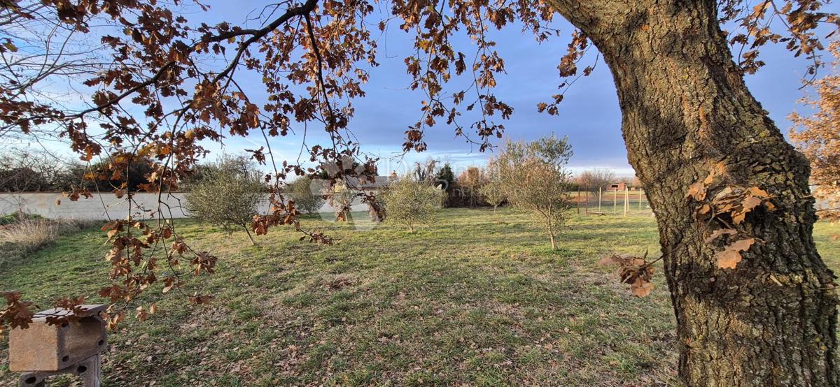 Terrain À vendre - Istarska Marčana - foto 4/11