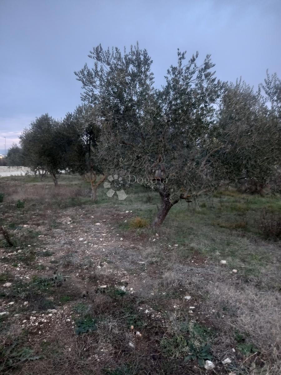 Land For sale - Zadarska Zadar - foto 2/3