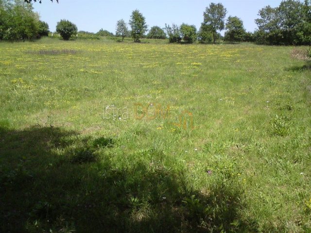 Grundstück zu verkaufen 3380 m² – Barban