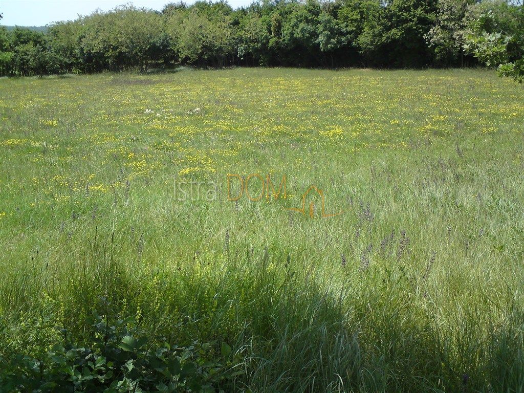 Grundstück Zu verkaufen - Istarska Barban - foto 2/2