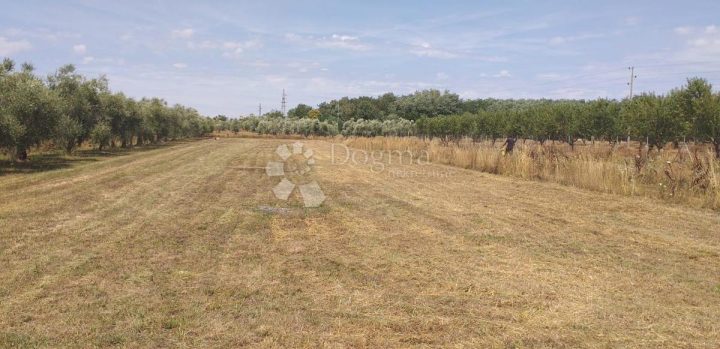Zemljište Na prodaju - Istarska Umag - foto 2/3