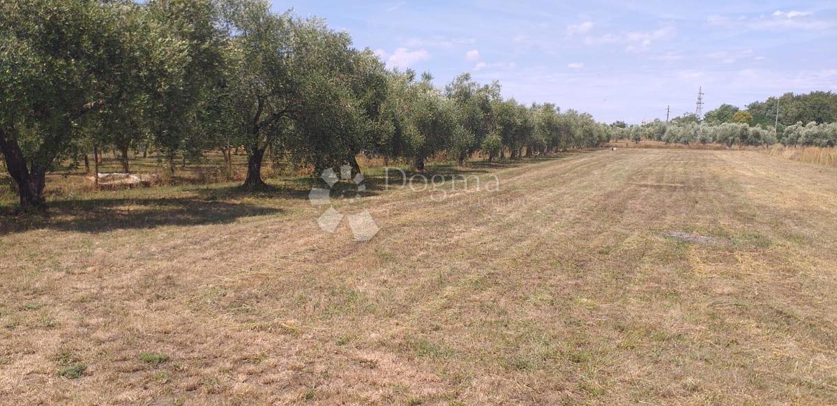 Zemljište Na prodaju UMAG