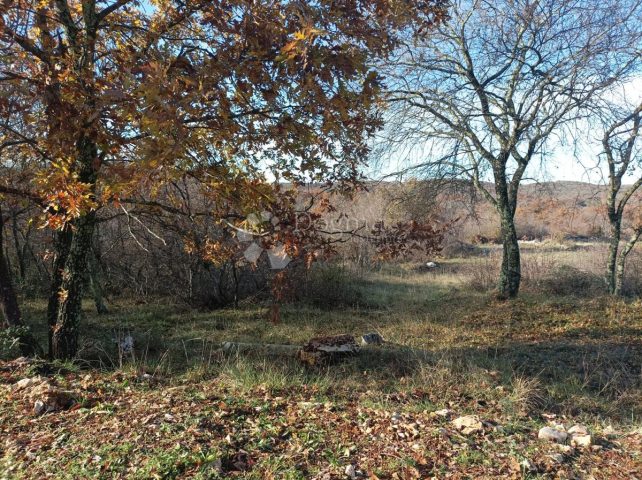 Pozemek na prodej 10688 m² – Bale