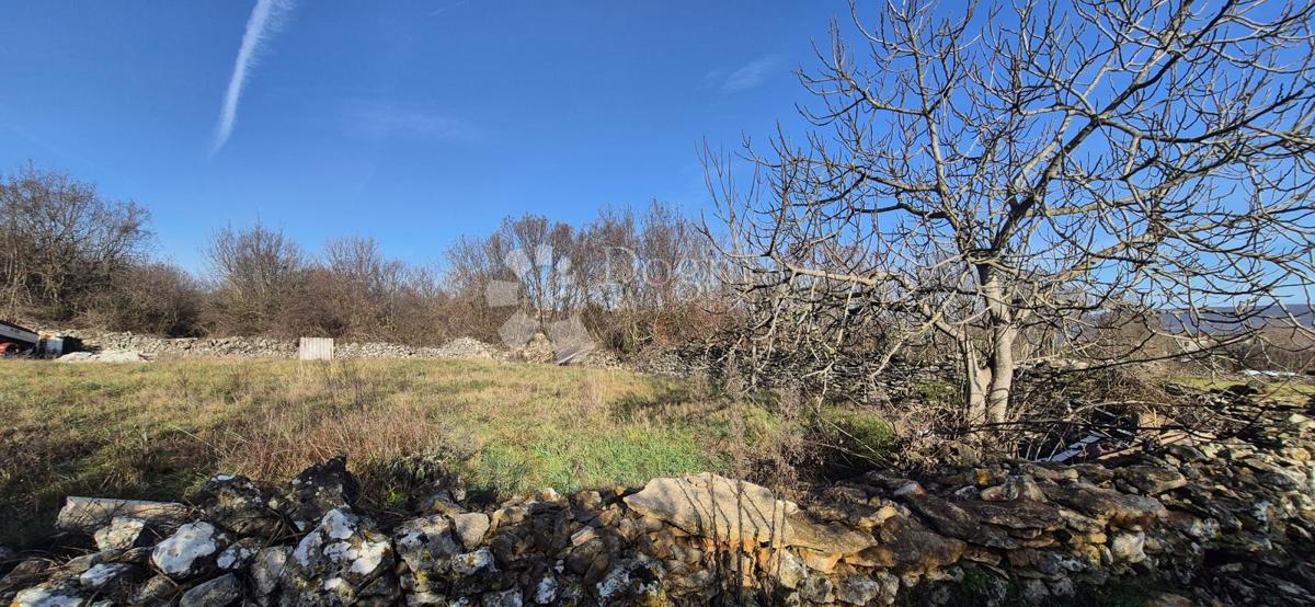 Terrain À vendre - Istarska Marčana - foto 4/22