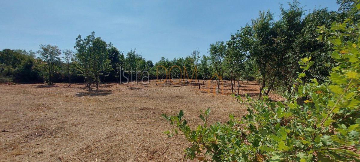 Parcela Na predaj - ISTARSKA SVETVINČENAT
