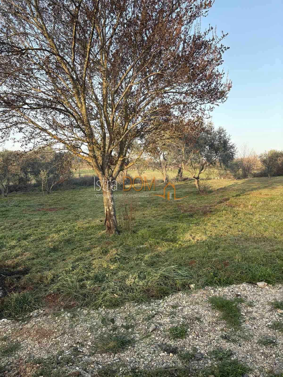 Land For sale - Istarska Ližnjan - foto 1/8