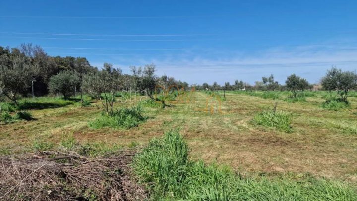 Land For sale - Istarska Pula - foto 2/2