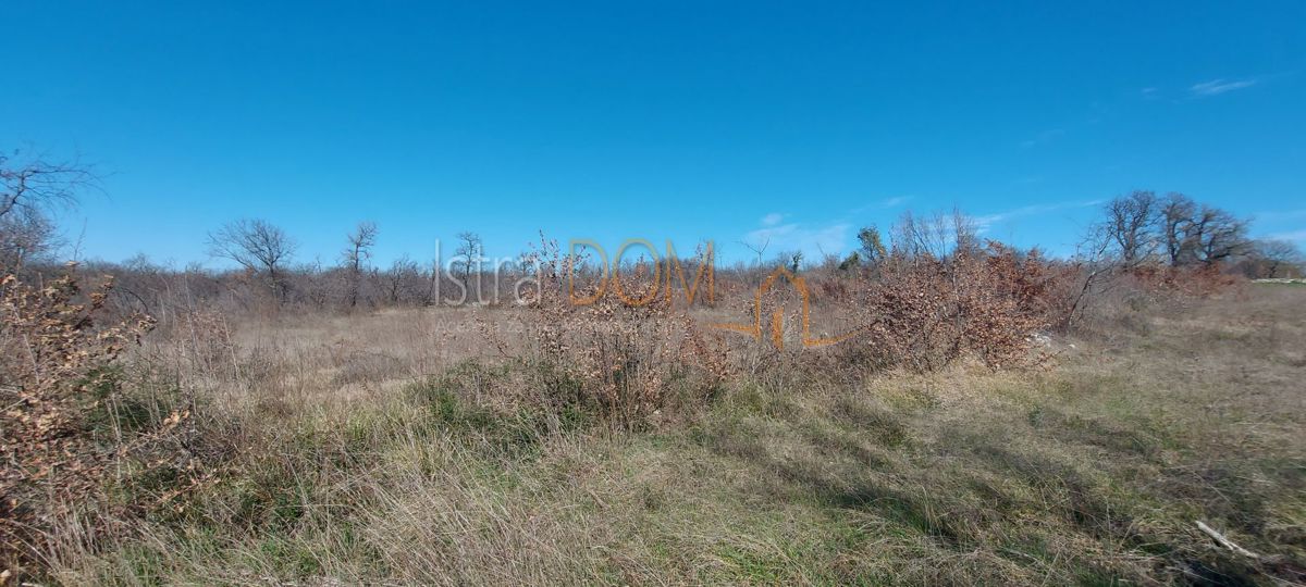 Terreno In vendita - Istarska Svetvinčenat - foto 3/7