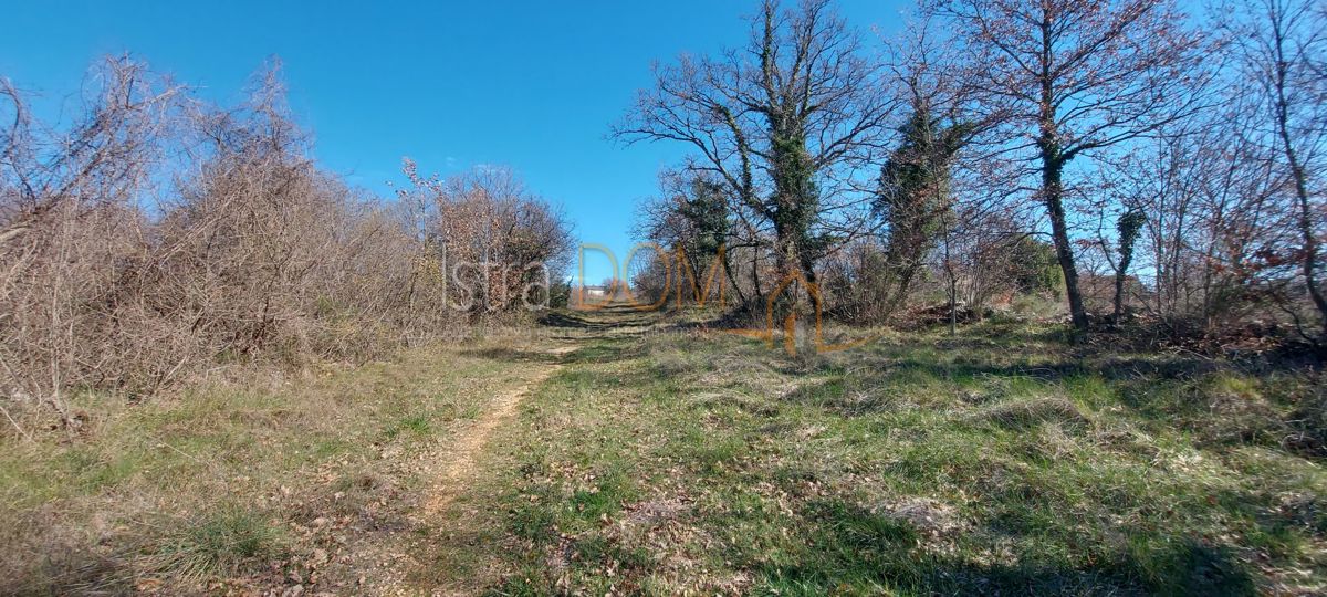 Terreno In vendita - Istarska Svetvinčenat - foto 5/7