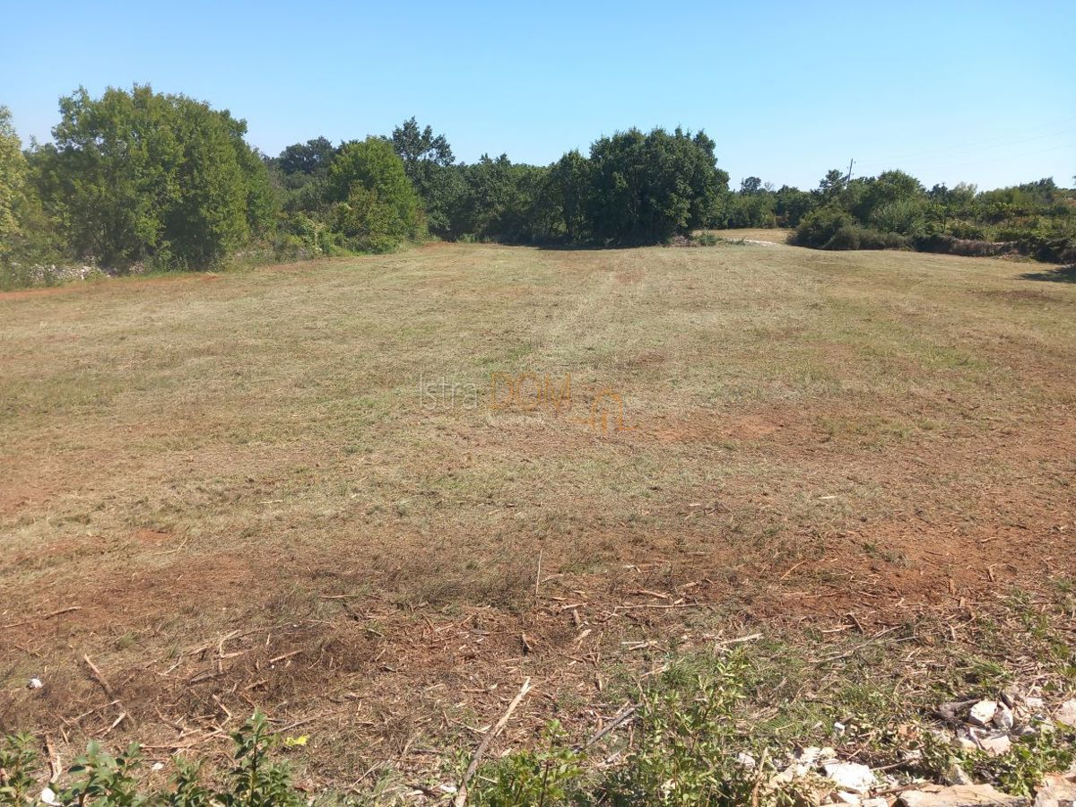 Land For sale - Istarska Svetvinčenat - foto 2/8