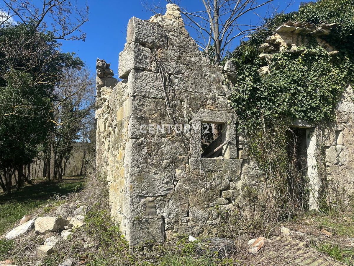 Dom Na predaj - ISTARSKA GROŽNJAN