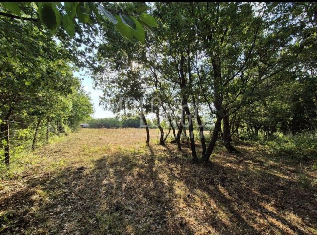 Zemljište na prodaju 24118 m² – Kaštelir