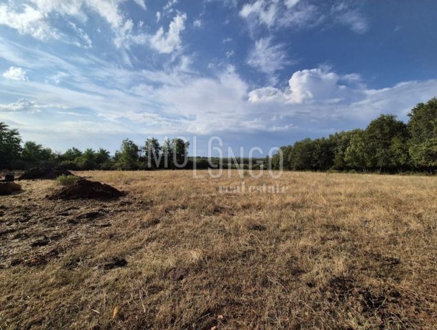 Land For sale - Istarska Kaštelir - foto 2/4