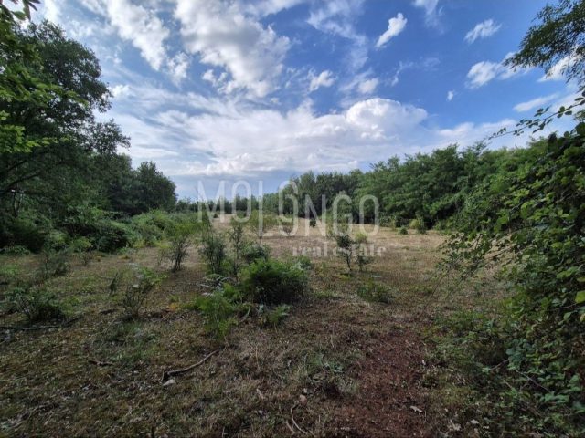 Land For sale - Istarska Kaštelir - foto 4/4