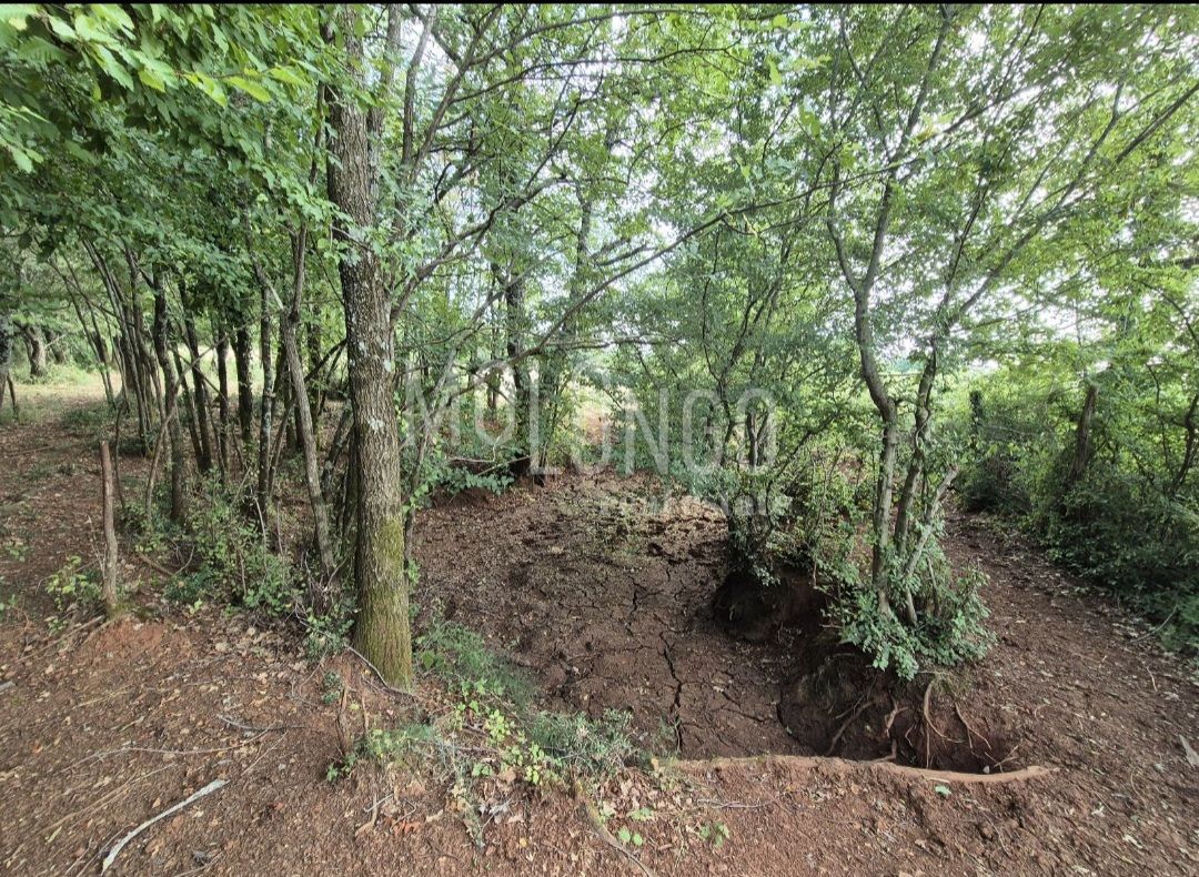 Terrain À vendre - ISTARSKA KAŠTELIR