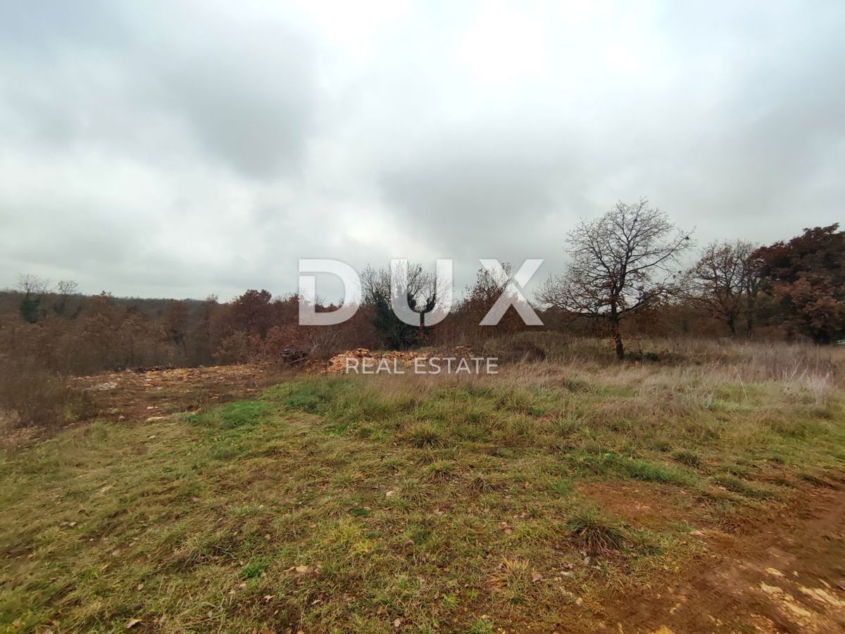Land For sale - ISTARSKA VODNJAN