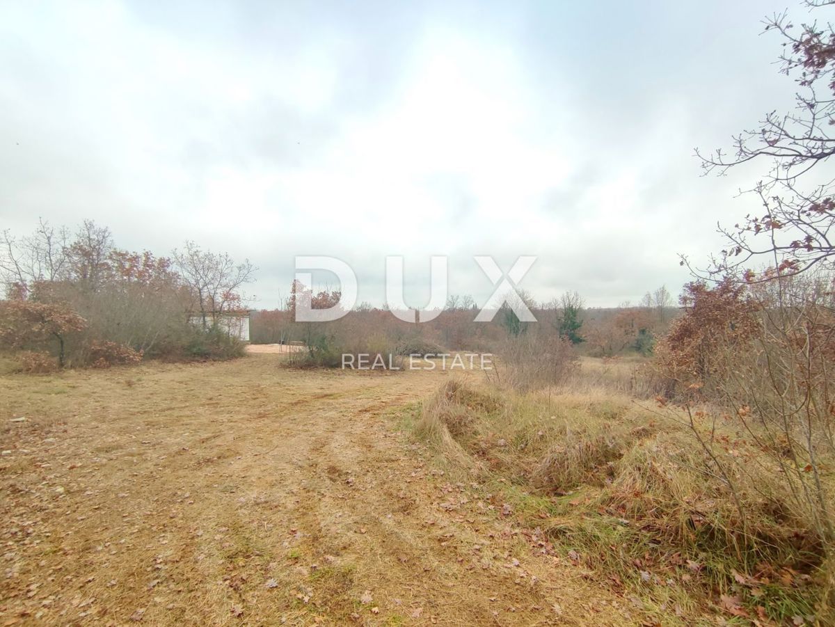 Land For sale - ISTARSKA VODNJAN