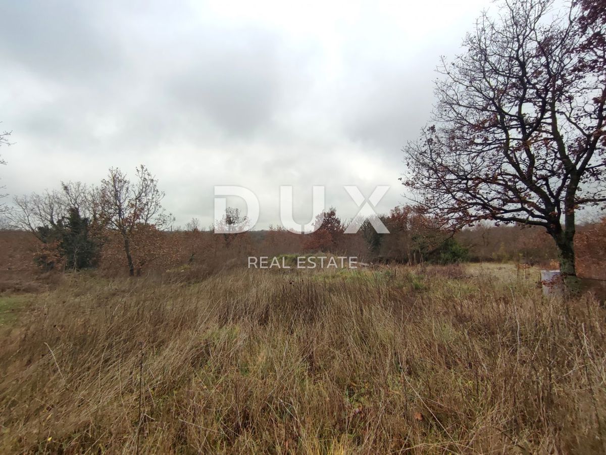 Land For sale - ISTARSKA VODNJAN