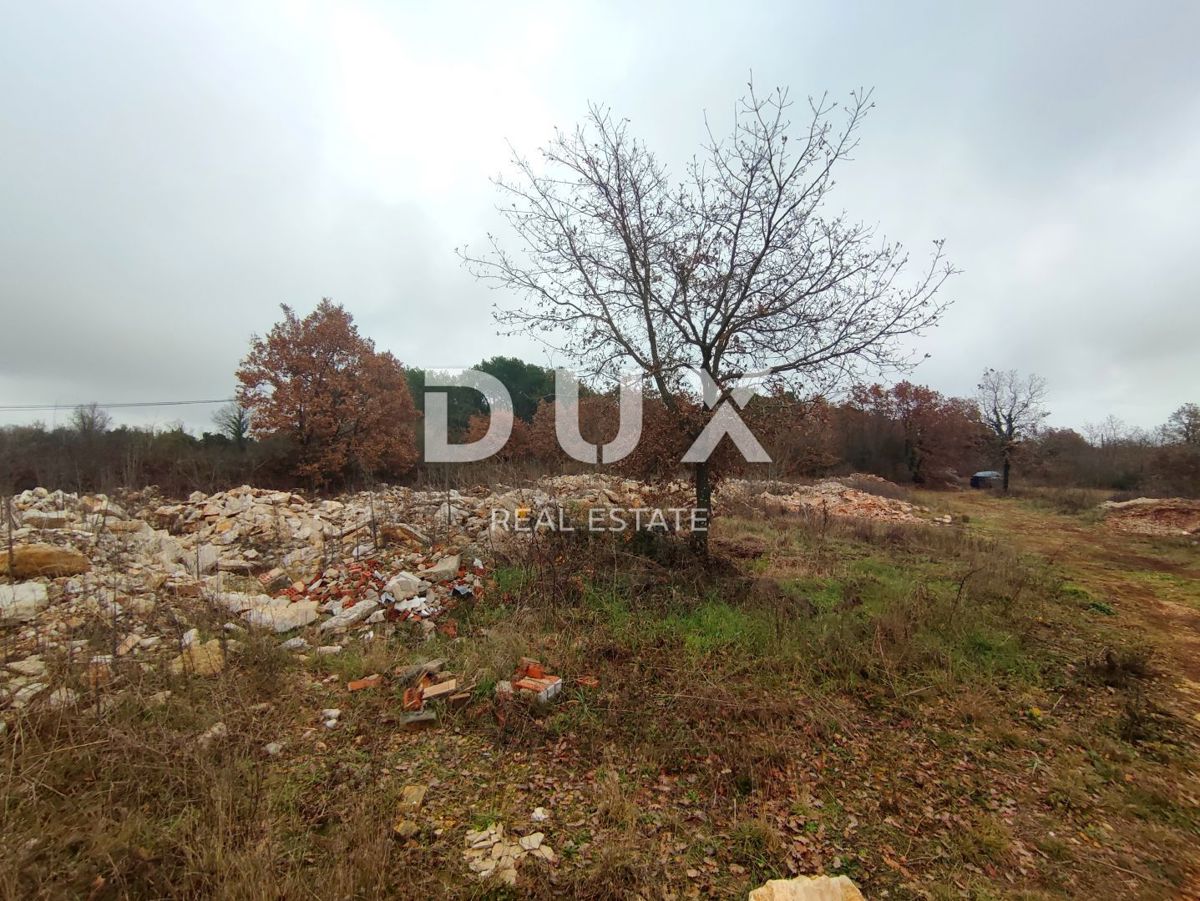 Land For sale - ISTARSKA VODNJAN
