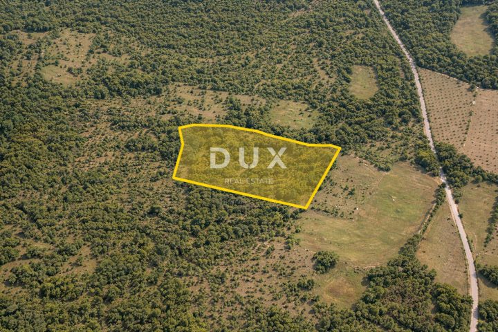 Pozemok na predaj 15329 m² – Bale