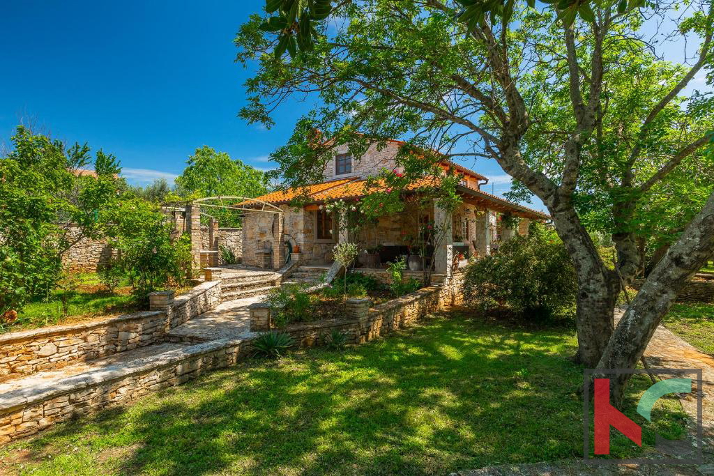 Haus Zu verkaufen - Istarska Svetvinčenat - foto 4/31