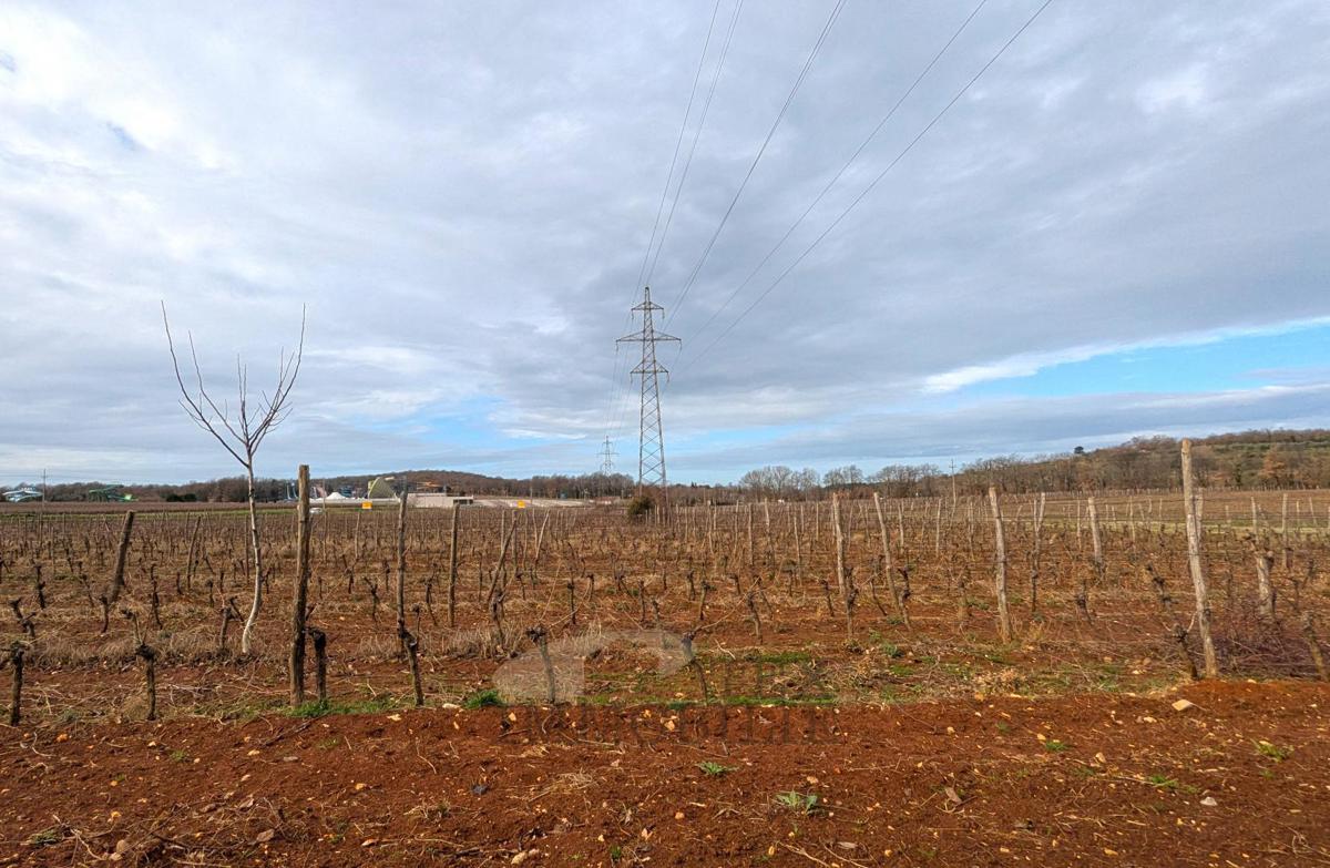 Terrain À vendre - Istarska Poreč - foto 2/3